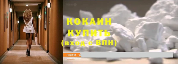 дживик Алексин