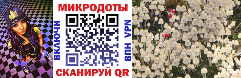 Галлюциногенные грибы ЛСД  Лагань 